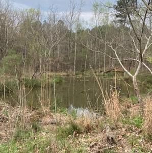 Meet your Posher, Thaddeus